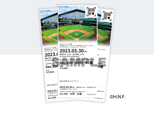 日ハムチケット４枚 阪神タイガース 6/18（火）日ハム戦 甲子園チケット ライト