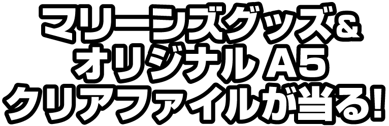 ޥ꡼󥺥åꥸʥA5ꥢե뤬롪